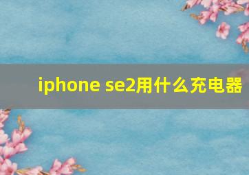 iphone se2用什么充电器